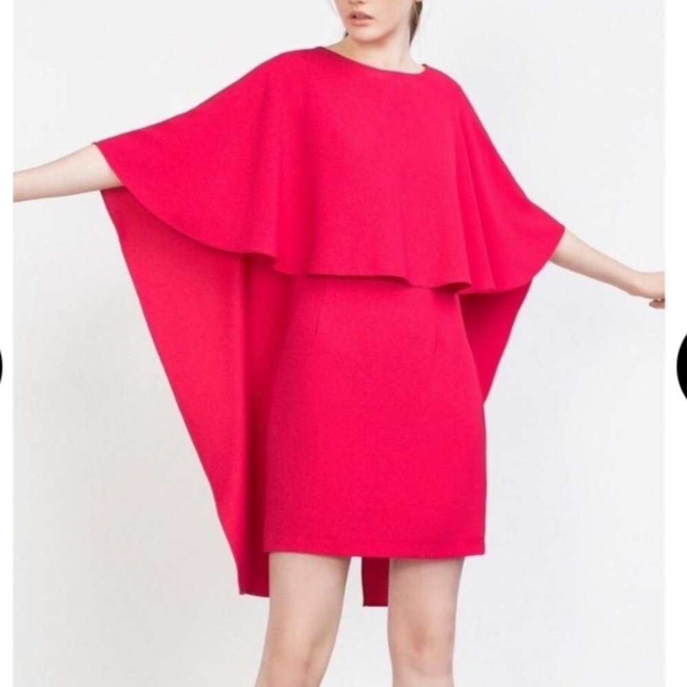 Zara Hot Pink Backless Dress New with Tag Large